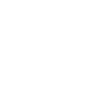 Partner technology logo